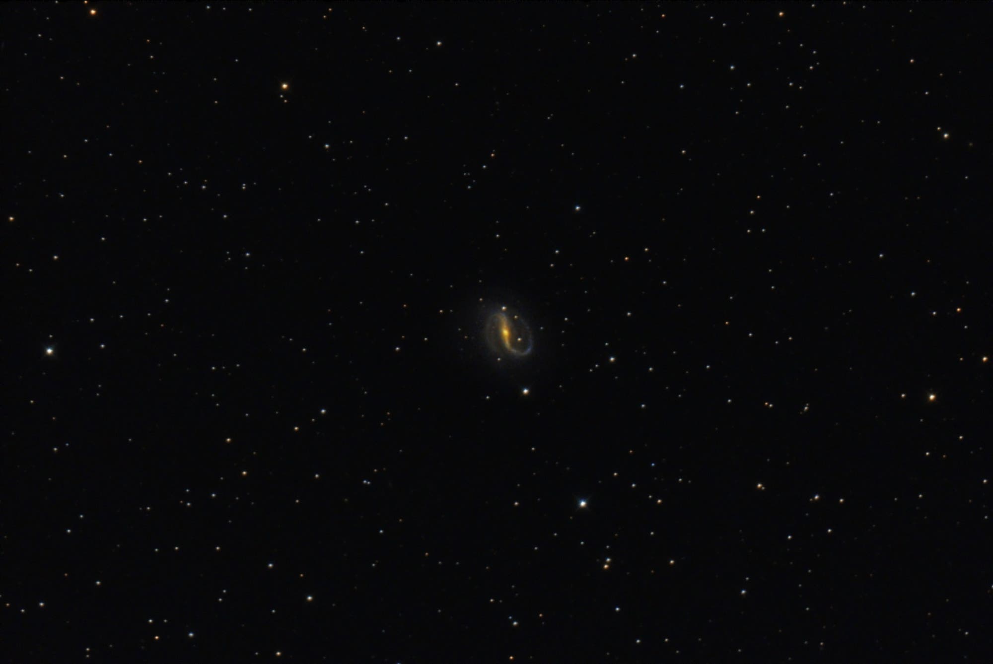 NGC 7479 Spektrum der Wissenschaft